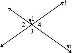 3249.png