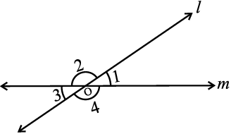 3260.png