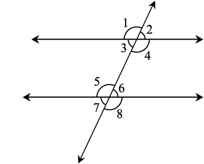 4456.png
