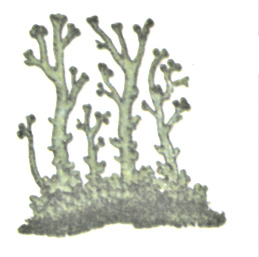05_01_b.tif