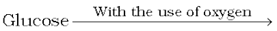 2646.png