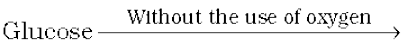 2651.png