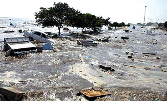 Tsunami%20picture.tif