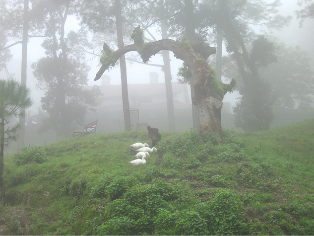 winter%20rains%20in%20the%20hills.tif