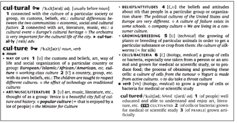 chap11img3