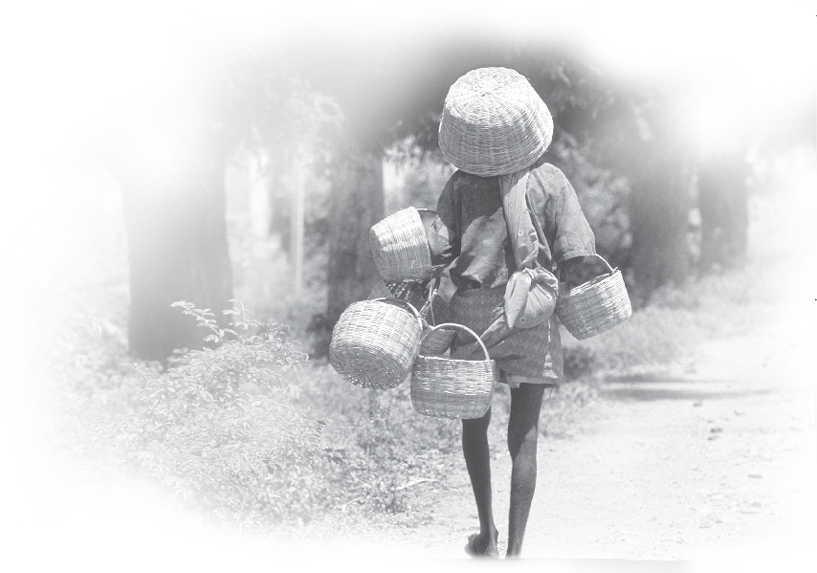 Coorgi%203.tif