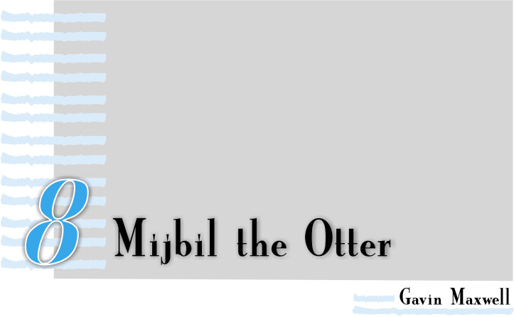 Majbil%20the%20Otter.tif